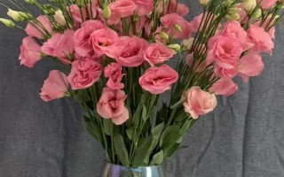 怎么养洋桔梗，通常采用水养的方法