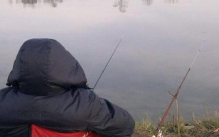 夏季钓鲤鱼的技巧，夏钓鲤鱼以钓钝为主