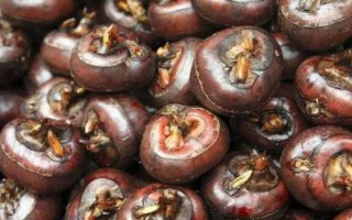 荸荠能否生吃，可以生吃但要注意洗净