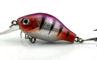 路亚翘嘴技巧，标点时选择回水湾浅水区等位置