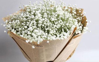 生日适合送什么花,赠送的对象不同选择的花卉不同