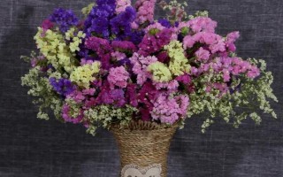 花朵发霉如何处理,可采取晾晒、制干、挖除霉菌等措施