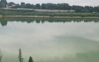 哪些药可以净化鱼塘水质,使用东方复合碘可以起到净化效果