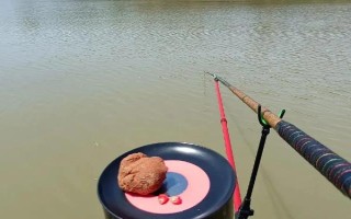 鸡肝能不能钓鱼，鸡肝能钓鱼