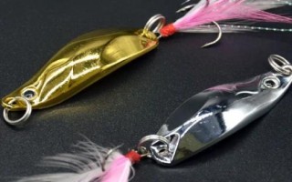 如何垂钓马口鱼，首选钓点为入水口、出水口