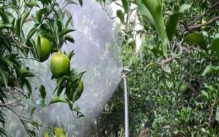 多菌灵的安全期是多少天,通常为15-30天左右