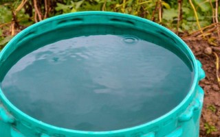 枫树在什么季节盛开，在每年的9-10月盛开