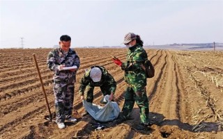 怎么进行作物测土配方施肥,可以进行田间试验