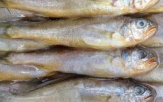 冷冻小黄鱼的价格，会受到地区、季节等条件的影响