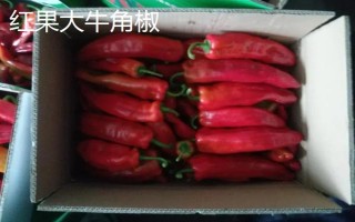 红椒苗的价格，一株需要0.2-0.8元左右