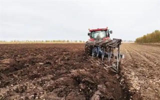 怎么用地膜种玉米，育苗移栽需要先栽苗再覆膜