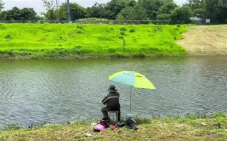 钓鲢鳙的技巧，钓位要选择顺风或偏风的地方