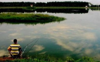 夏钓适宜位置,河汊口是绝佳钓位