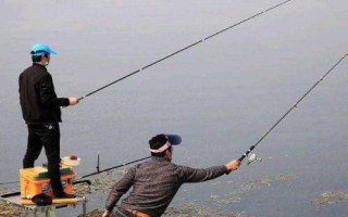 冬季什么时间段钓鱼好,从早上8点开始到下午的3点左右