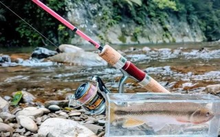 野钓可以用溪流竿吗，野钓实际上最适合用溪流竿