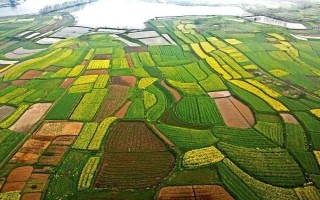 太原和晋中的农作物有哪些特点，基本上都是一年一熟