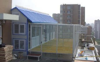 鸽子棚是否需要建在高处，建在高处能扩宽鸽子的视野、方便它们出入和比赛起降