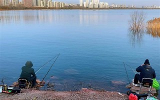 钓鲢鳙的技巧，钓位要选择顺风或偏风的地方