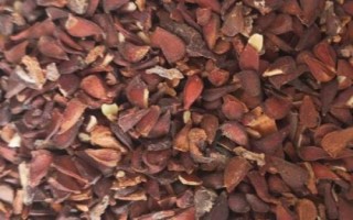 木瓜种子能不能吃,籽是天然的能吃