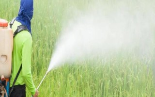 高温期施农药的害处，会导致杀虫效果差且药效低