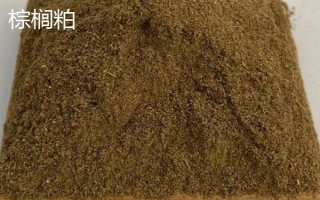 自配饲料没有豆粕可以拿什么代替,可以用棕榈粕、棉籽粕等代替