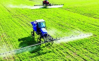 防治小麦红蜘蛛和蚜虫的用药，可选择高效氯氟氰菊酯、联苯菊酯等