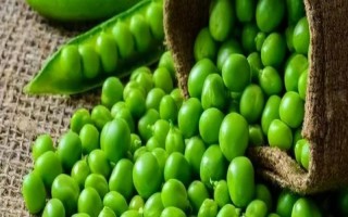 豌豆可以用冰箱保存吗，放在冰箱中可延长保质期