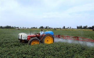 毒死蜱能杀死蚧壳虫吗，效果不是非常好