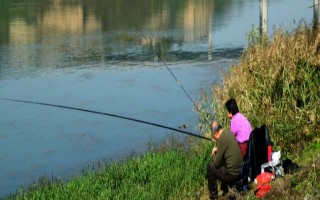 秋季钓鱼技巧，中秋全天可作钓