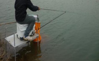 传统钓和台钓谁更容易上鱼，诱鱼效果来看台钓相对更有优势