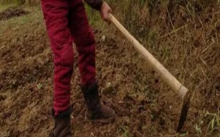 种地用的工具有哪些，不同工具的作用不同