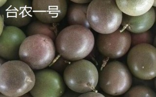 百香果品种有哪些，在国内种植比较多