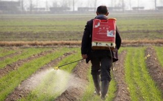 多菌灵有什么特点,具有内吸治疗和保护作用
