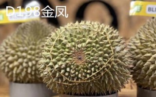 榴莲的产地，产地遍布东南亚各国