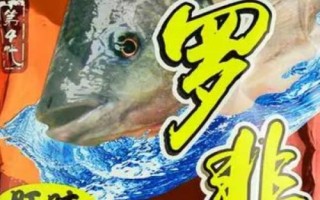 龙王恨鱼饵的使用效果,单开或搭配使用均不错