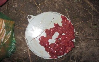 鸡肝能不能钓鱼，鸡肝能钓鱼