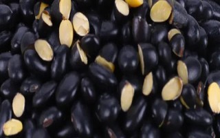 绿心黑豆和黄心黑豆区别，外观和口感均不同