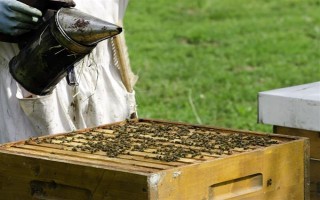 蜜蜂春繁在几月，间因各地气候不同而有差异