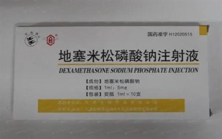 犬猫上呼吸道感染怎么治疗和护理，根据引发原因采取不同的解决措施