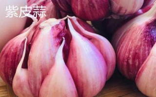 大蒜的产地,主产于山东、江苏、河南、四川、陕西等省份