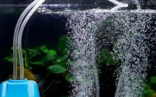 鱼缸打氧机不出泡的解决办法，可以尝试将氧气泵放在高一点的位置