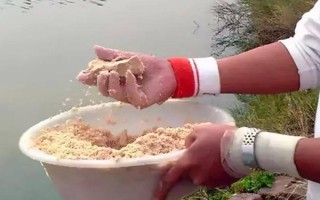 台钓鲫鱼子线要多长，根据鱼情、季节、钓法等决定