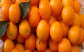 金桔如何保存，常见以下3种方法