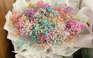 满天星的花语，寓意思念之情、纯洁的爱等