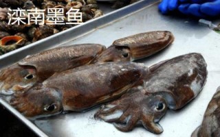 河北滦南县的特产,滦南花生被誉为东路花生