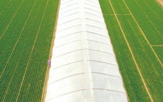 先进的农用薄膜有哪些，有轻薄型薄膜、多用途薄膜等