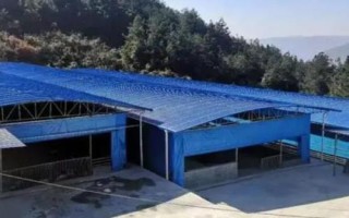 乌梢蛇养殖技术，蛇园应经常打扫