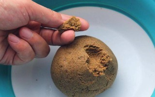 钓鱼好不好钓,与天气、饵料、钓点等相关