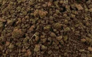 羊粪可以直接做肥料吗,没有腐熟不能做肥料