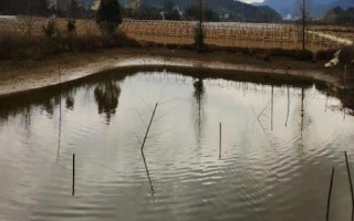 利润高的农村创业项目,看准市场再投资